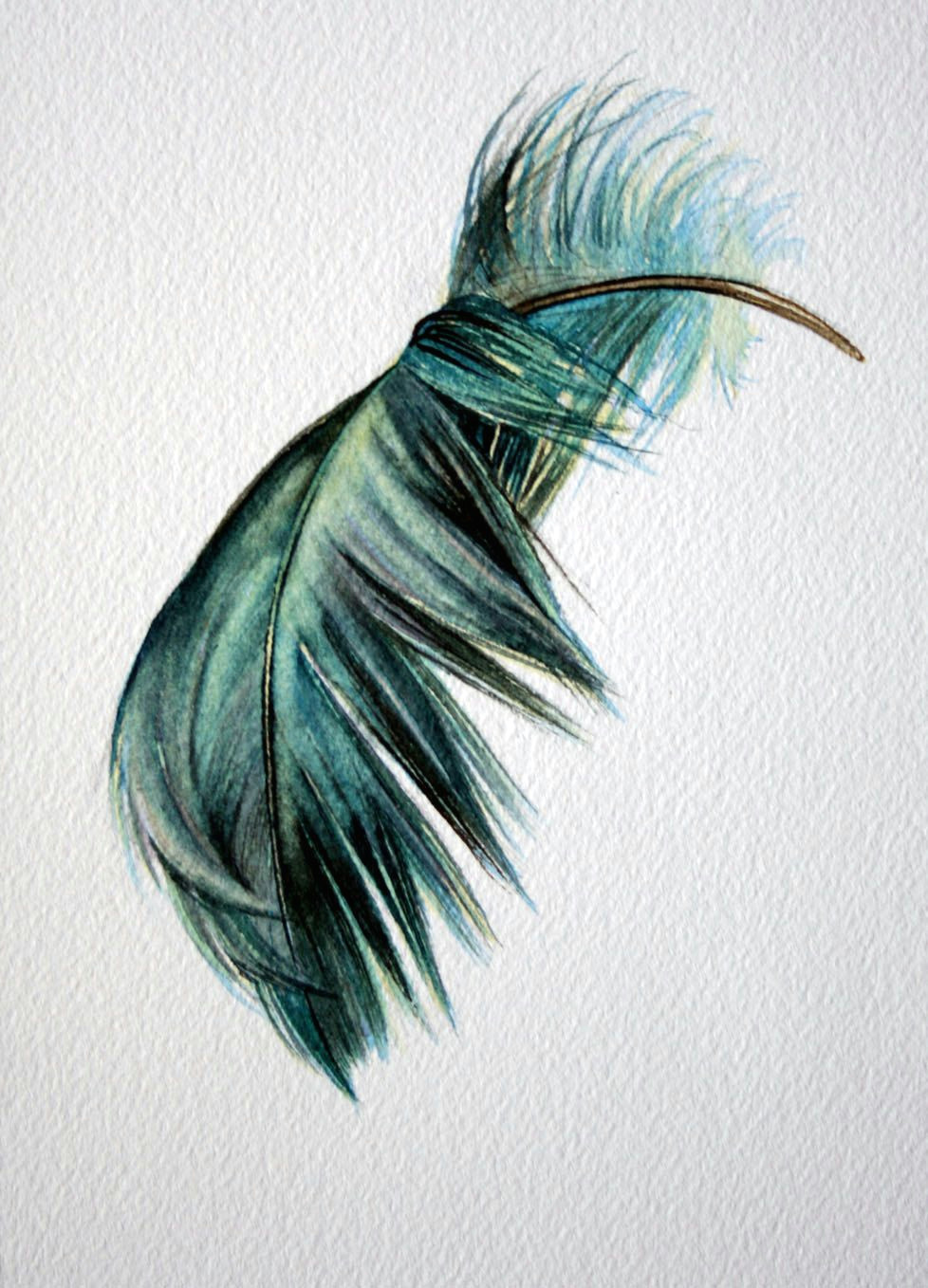 Drawing Of Blue Things Blue Green Floating Bent Feather original Watercolor Art Can