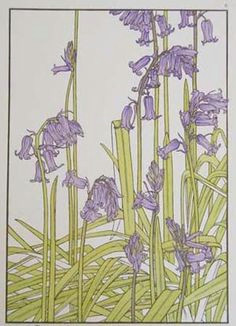 Drawing Of Bluebell Flower 90 Best Bluebells Images In 2019 Water Colors Watercolour