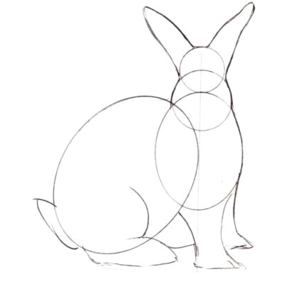 Drawing Of Bunny Eyes How to Draw A Realistic Bunny Rabbit