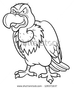 Drawing Of Cartoon Vulture 62 Best Vultures Images Vulture Buzzard Birds