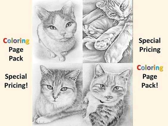 Drawing Of Cat Eye 26 Best Of Cat Drawing Template Ideas Resume Templates