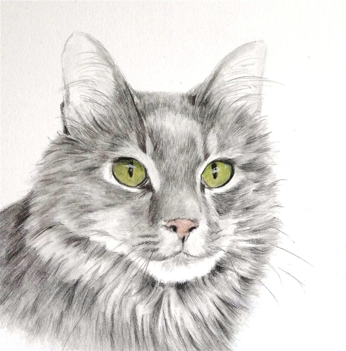 Drawing Of Cat Eye Green Eyes by Glennis Weston Cats In Pictures Pinterest Green