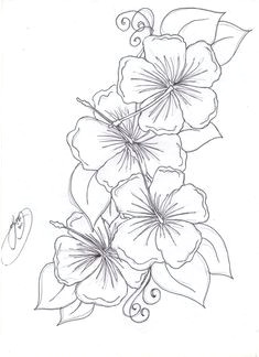 Drawing Of Chaconia Flower 30 Best Amazing Hibiscus Flower Tattoo Images Hibiscus Flower