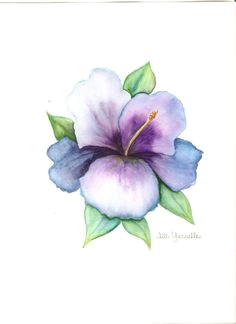 Drawing Of Chaconia Flower 87 Best Flowers Images Drawing Flowers Watercolor Painting