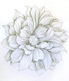 Drawing Of Dahlia Flower 273 Best Dahlia Tattoo Images Awesome Tattoos Coolest Tattoo