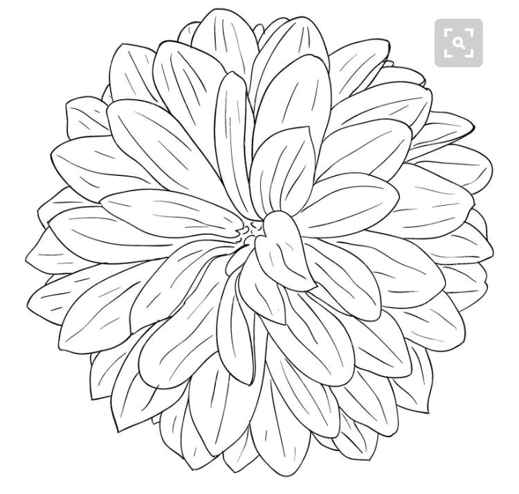 Drawing Of Dahlia Flower Pin by Lynn Dragonfly On Drawing Doodles and Dangles Pinterest