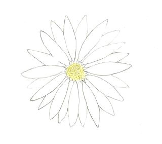 Drawing Of Daisy Flowers Flower Drawing Easy Flowers Drawingchallenge Flower Drawings