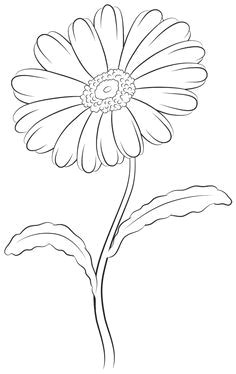 Drawing Of Daisy Flowers How to Draw A Tulip Step by Step Drawing Tutorials Draw Flowers