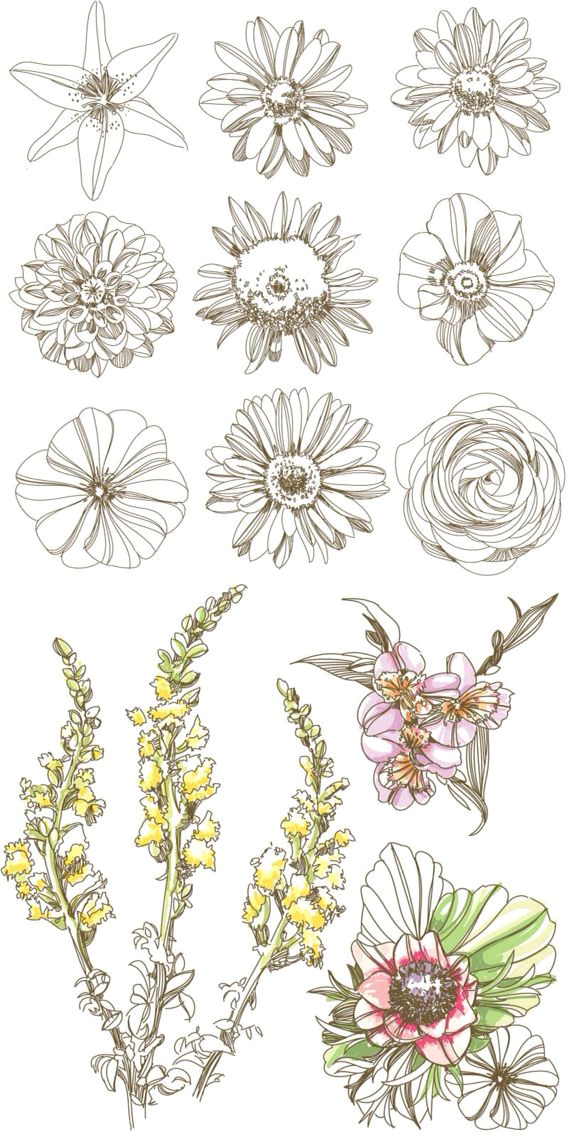 Drawing Of Daisy Flowers Pin by Aakira On Flower Drawings Art Tattoos