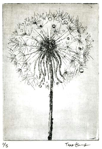 Drawing Of Dandelion Flower Dandelion Root Drawing Google Search Artsy Pinterest