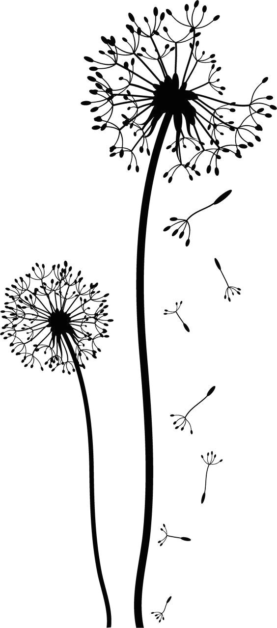 Drawing Of Dandelion Flower Dandelion Wall Sticker Google Pretraa Ivanje D D N N D Dod D D N D N N D D Dod