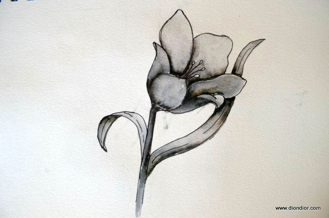 Drawing Of Datura Flower An Art and Creativity Blog Specializing In Art Journaling