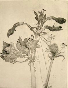 Drawing Of Dead Flowers 73 Best Dead Flowers Images Flower Art Botanical Art Dying Flowers