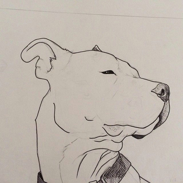 Drawing Of Dog Etsy Beginning A Drawing Of My Beat Box as An Example to Put On My Etsy