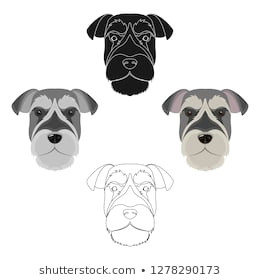 Drawing Of Dog Filter 500 Dalmatian Cartoon Pictures Royalty Free Images Stock Photos