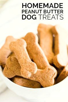 Drawing Of Dog Food 61 Best Healthy Homemade Dog Treats Images Dog Food Recipes Dog