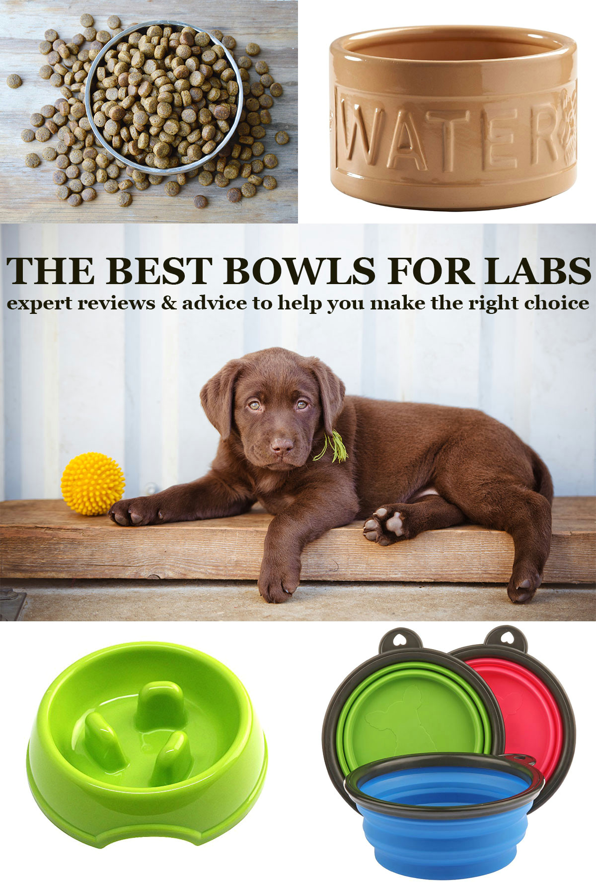 Drawing Of Dog Food Bowl Best Dog Bowls Choosing the Right Bowl for Your Lab the Labrador Site