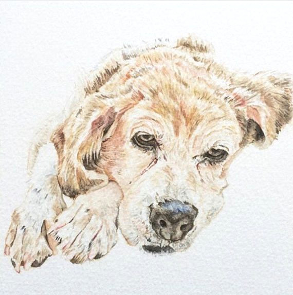 Drawing Of Dog Gift Custom Pet Portrait A5 Watercolour Dog Portrait Pet Memorial