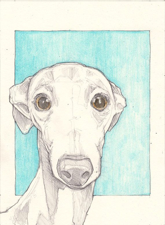 Drawing Of Dog Gift Italian Greyhound Drawing An original 7 5 X5 5 Sketch Pencil