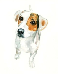 Drawing Of Dog Lead 95 Best Pup Art Dog Art Dog Illustrations Dog Drawings Images