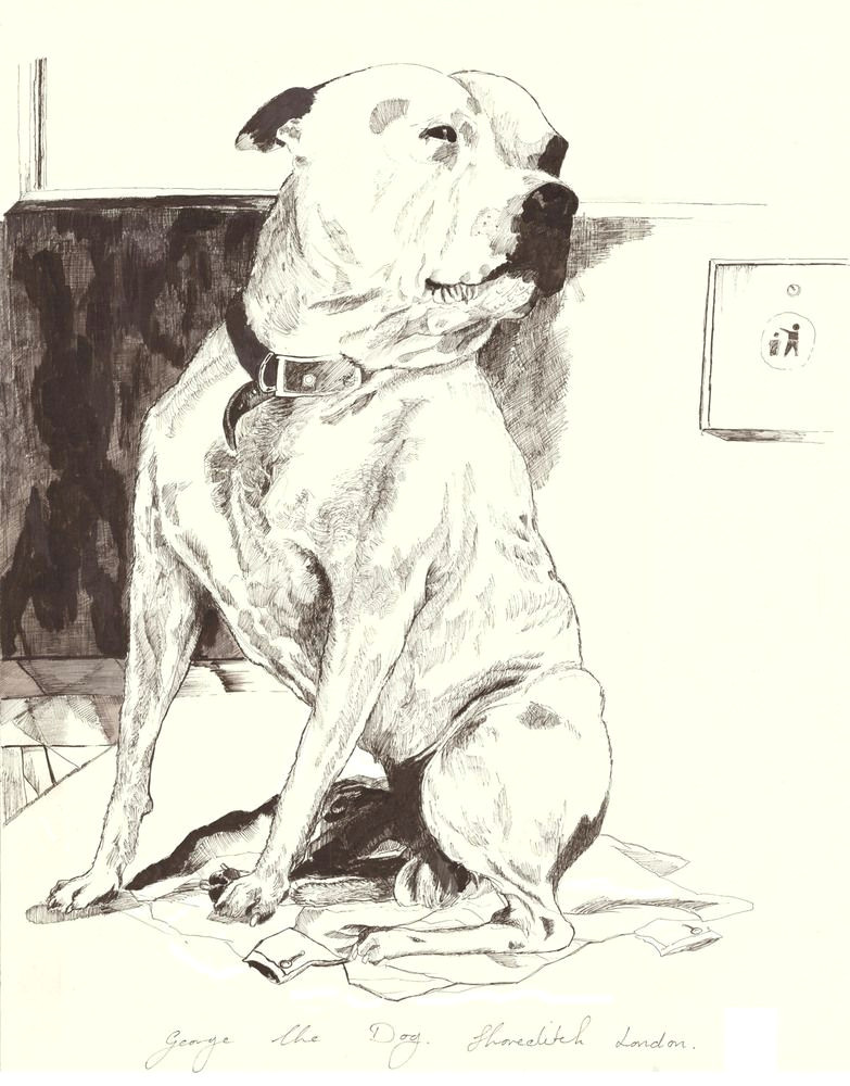 Drawing Of Dog Looking Up Homeless Man who sold Sketches Of Dog now Has Own Art Show Credits