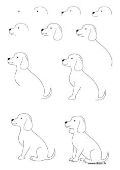 Drawing Of Dog Playing the Kids Will Love This How to Draw A Dog Step by Step Instructions