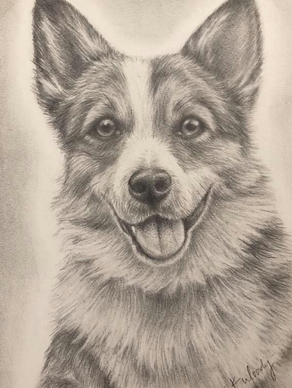 Drawing Of Dog Standing Up Custom Pet Portrait In Graphite Etsy