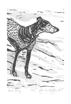 Drawing Of Dog Tracks 209 Best Greyhound Drawings Illust Images Greyhound Art