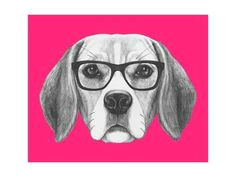 Drawing Of Dog Wearing Sunglasses 24 Best Dogs with Glasses Images Cute Dogs Cutest Animals Funny