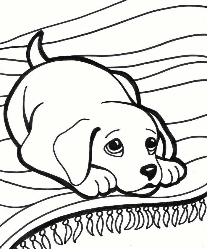 Drawing Of Dog with Color iPhone Coloring Page Lovely Drawing for Children Luxury Color Page