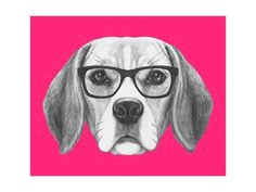 Drawing Of Dog with Glasses 24 Best Dogs with Glasses Images Cute Dogs Cutest Animals Funny
