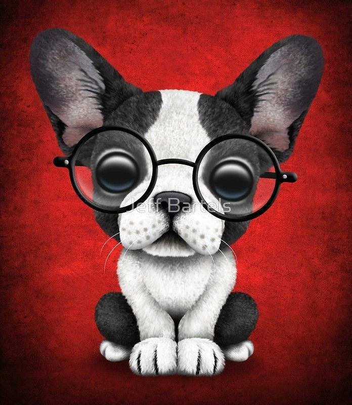 Drawing Of Dog with Glasses French Bulldog Puppy with Glasses On Deep Red Ae C In 2019