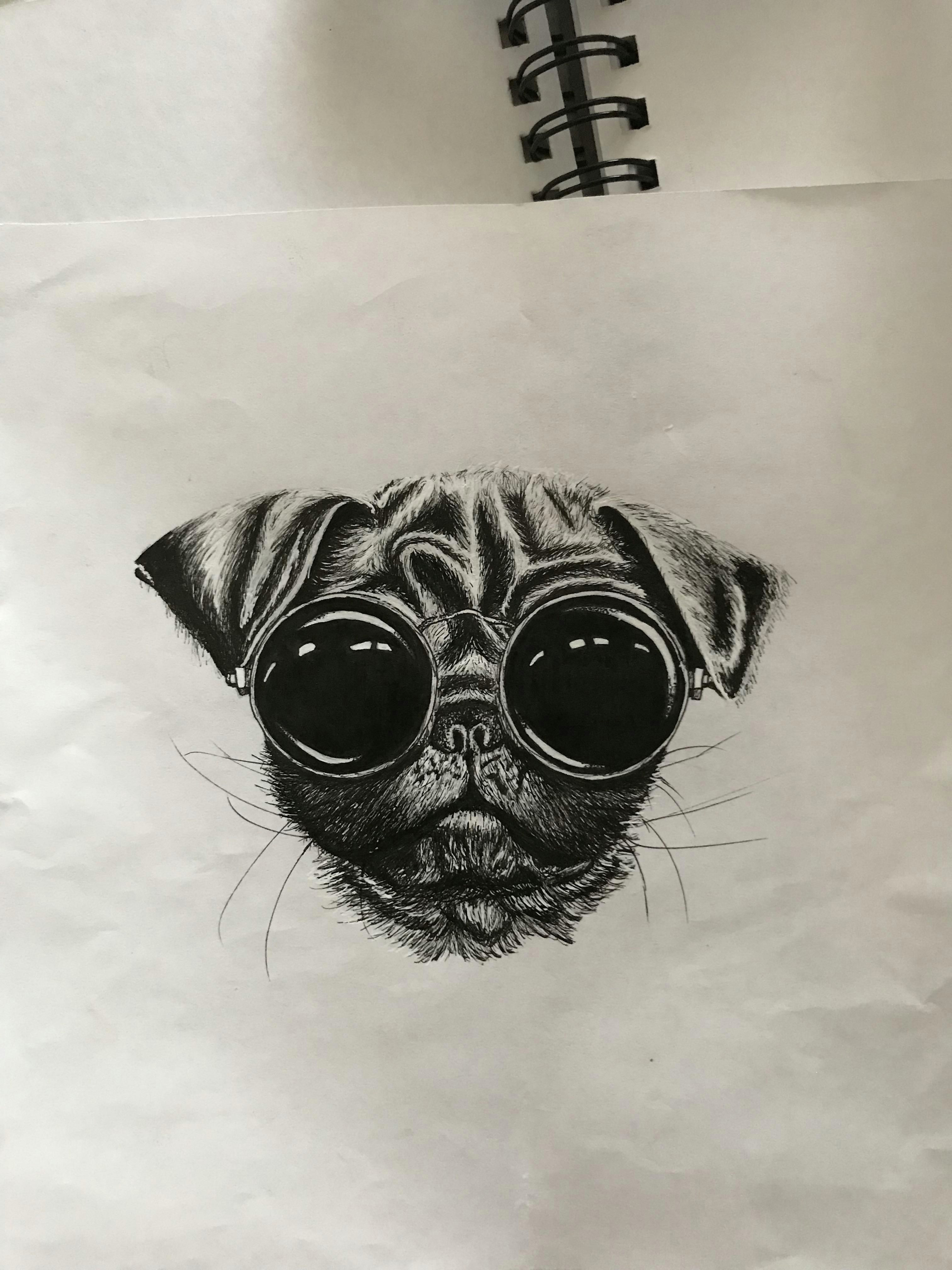 Drawing Of Dog with Glasses Pin Od tosia Wolska Na Rysunek Drawings Surrealism I Watercolor