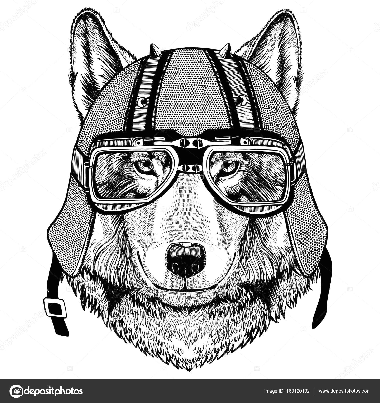 Drawing Of Dog with Glasses Wolf Dog Wearing Biker Helmet Animal with Motorcycle Leather Helmet