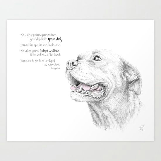 Drawing Of Dogs Teeth Murphy Loyalty Sketches Drawings Pinterest Drawing