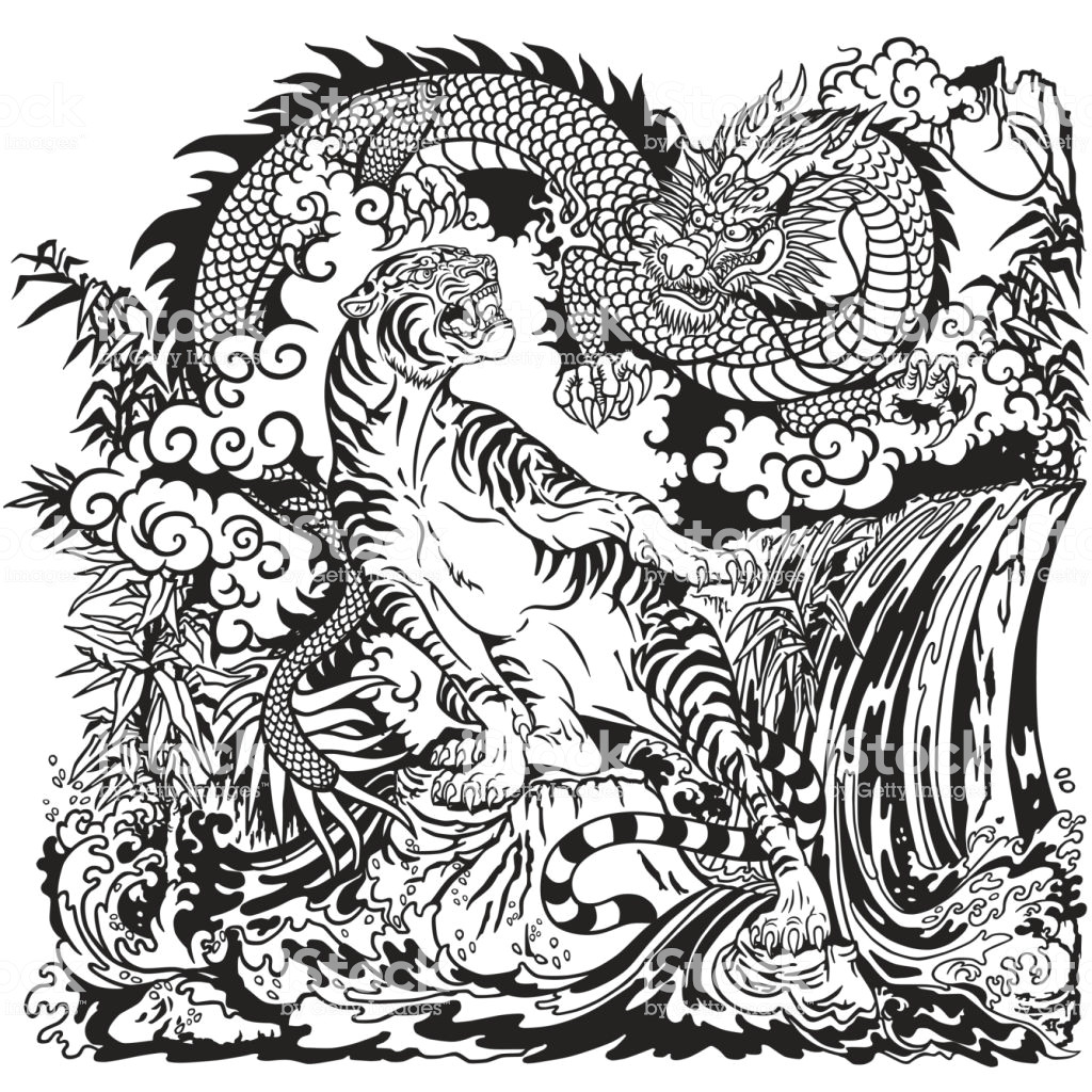 Drawing Of Dragons Black and White Dragon Versus Tiger Black and White Stock Vector Art More Images