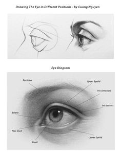 Drawing Of Eye Diagram 68 Best Eye Pencil Drawing Images Drawing Techniques Pencil