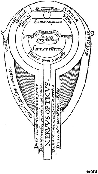 Drawing Of Eye Diagram Alhazen Ibn Al Haytham Diagram Of the Eye Mfa Science 9 Alhazen