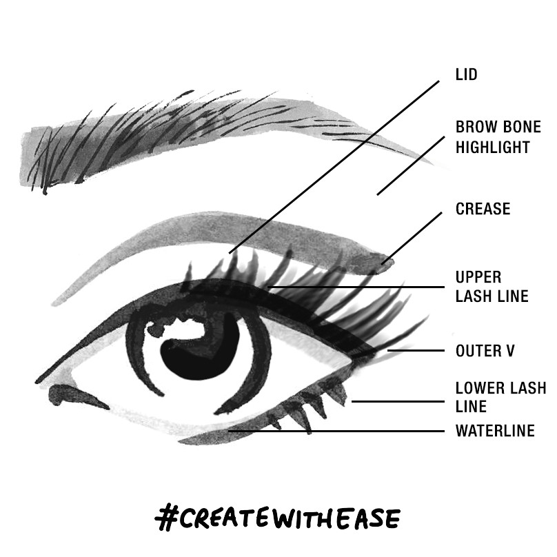 Drawing Of Eye Diagram Tutorial Eye Diagram Wiring Diagram Online