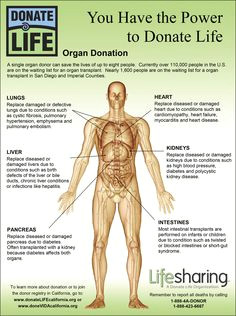 Drawing Of Eye Donation 305 Best Donate Life Images organ Donation organ Transplant