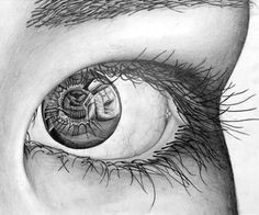 Drawing Of Eye with Reflection 121 Best Reflections Images Eyes Reflection Draw Eyes