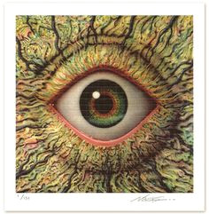 Drawing Of Eyes On Drugs 157 Best Eyes Images Eyes Draw Eye Art