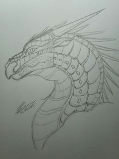 Drawing Of Fire Dragons 316 Best Wings Of Fire Images Wings Of Fire Dragons Dragon Art