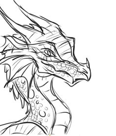 Drawing Of Fire Dragons 384 Best Wings Of Fire Images Wings Of Fire Dragons Dragon Art