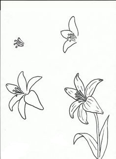 Drawing Of Five Flowers 361 Best Drawing Flowers Images Drawings Drawing Techniques