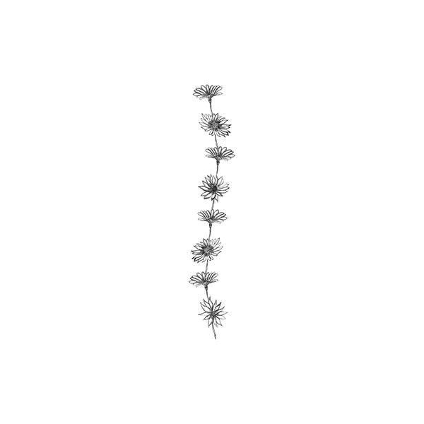 Drawing Of Flower Chain Daisy Chain Drawing Google Search Little Things Tattoos Daisy