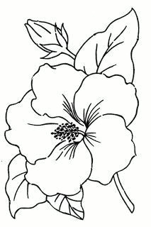 Drawing Of Flower Champa 248 Best Hibiscus Images Flower Designs Painting Flowers Pyrography