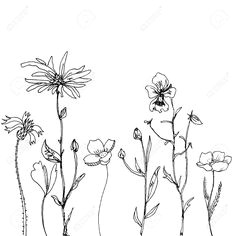 Drawing Of Flower Composition 28 Best Line Drawings Of Flowers Images Flower Designs Drawing