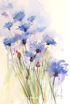 Drawing Of Flower Field 700 Best Art Watercolor Flowers Images Flower Watercolor