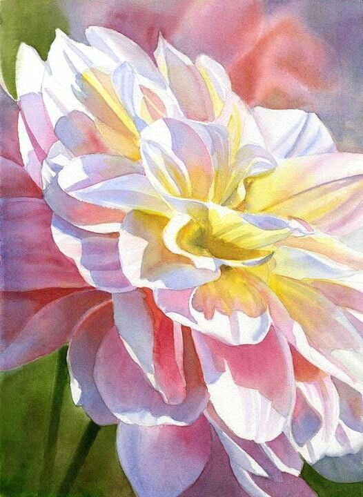 Drawing Of Flower Painting Sharon Freeman Art Bits In 2019 Watercolor Watercolor Paintings